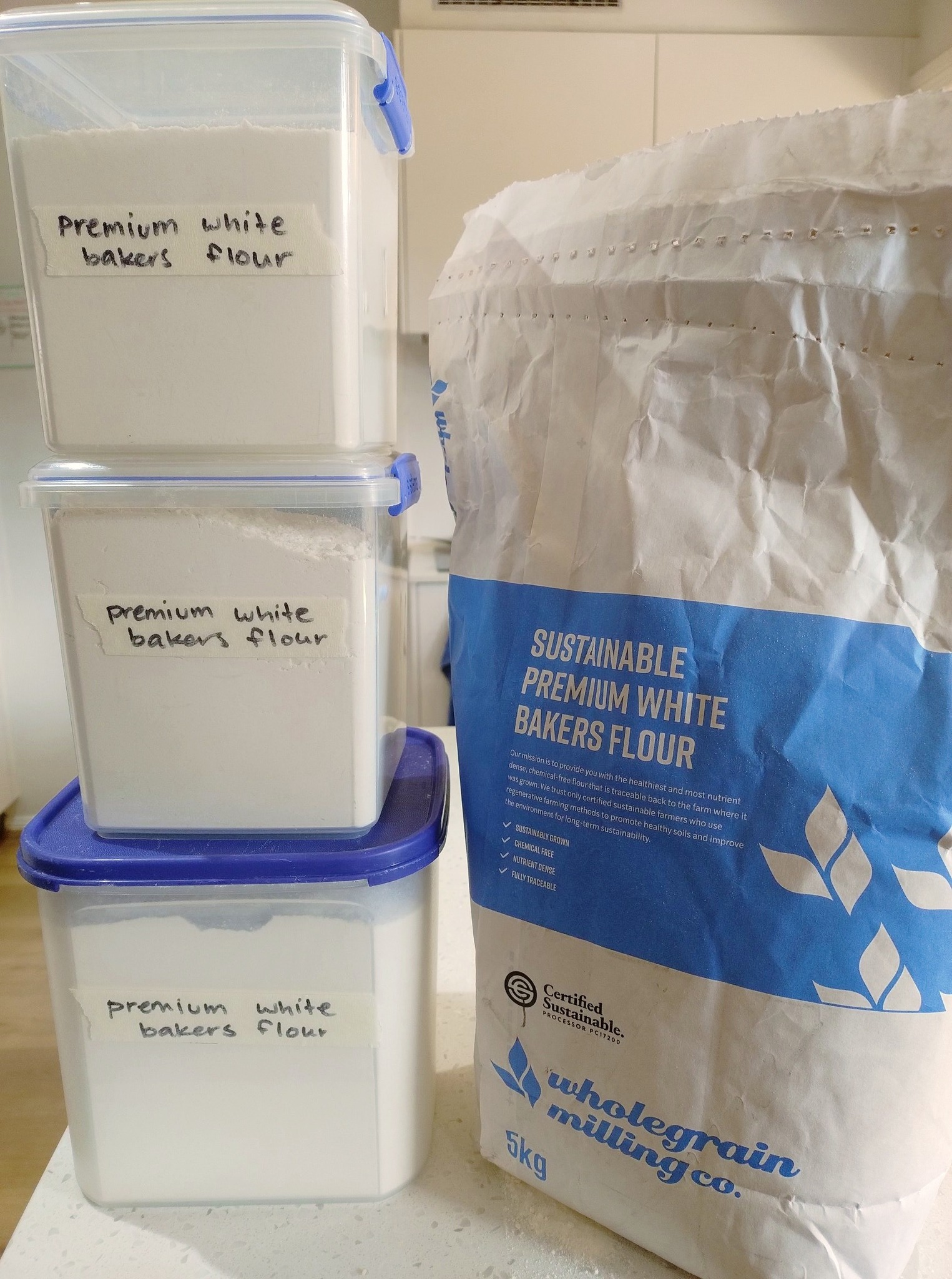 Box - ️ Do you freeze your flour? 🪳 Freezing flour for a few days will ...