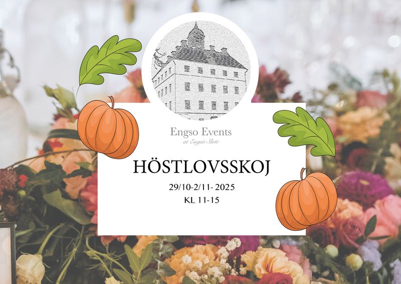 Engsö Slott | Västerås