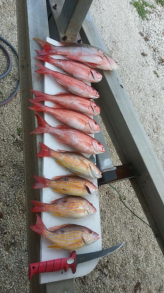 Reel Riley Charters