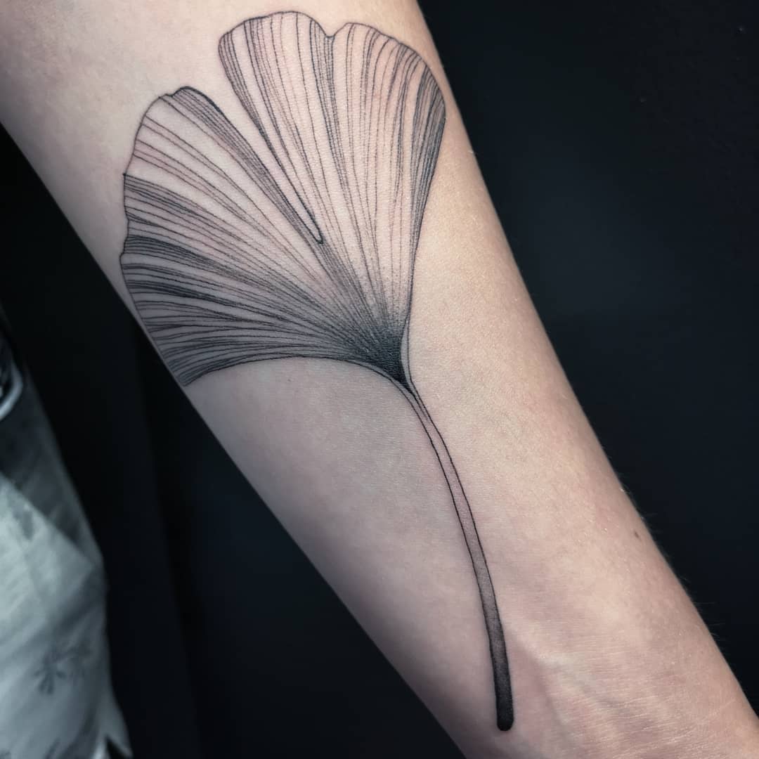 Tatouage Feuille De Ginkgo Signification
