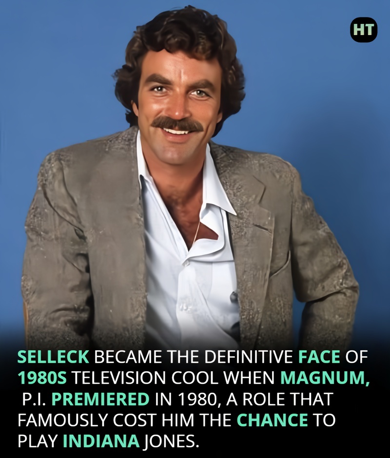 Hollywood - Tom Selleck is the rare actor who has successfully anchored ...