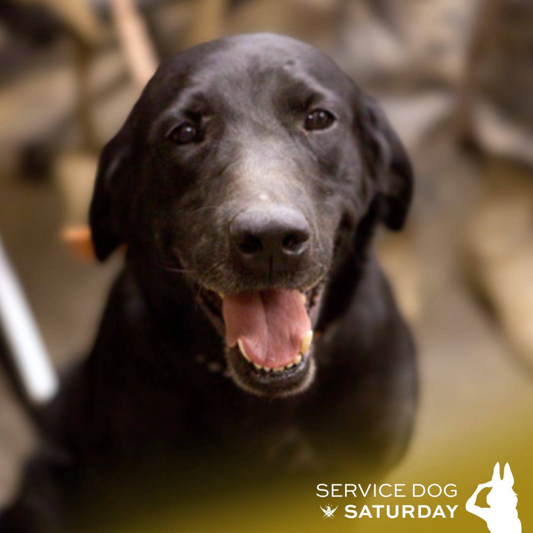 Gary - This #ServiceDogSaturday, we recognize K-9 Sgt. Taker! In 2012 ...