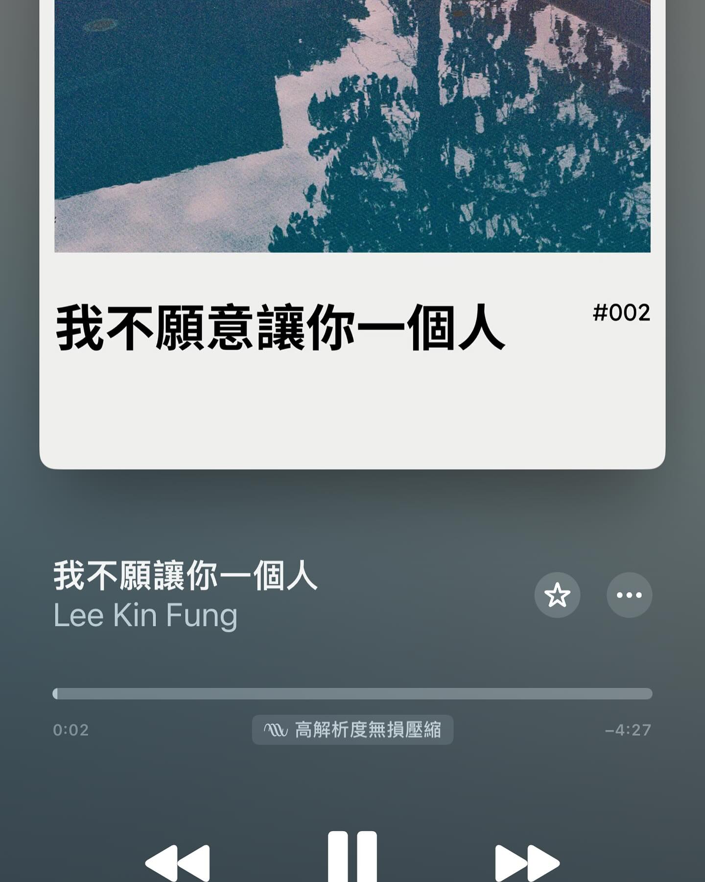 Lee Kin Fung
