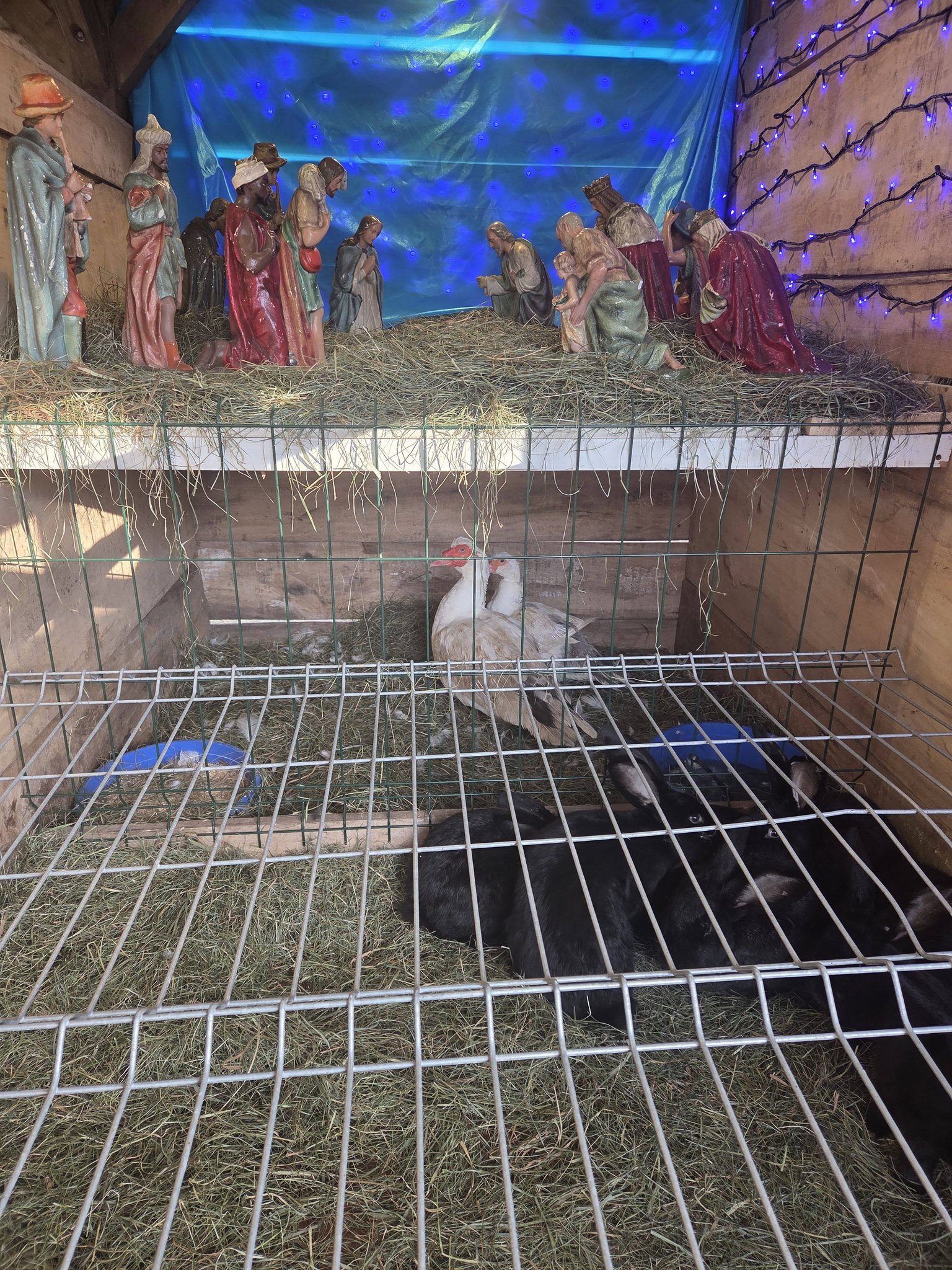 Par... - Parafia Matki Bożej z Góry Karmel w Bielsku Podlaskim