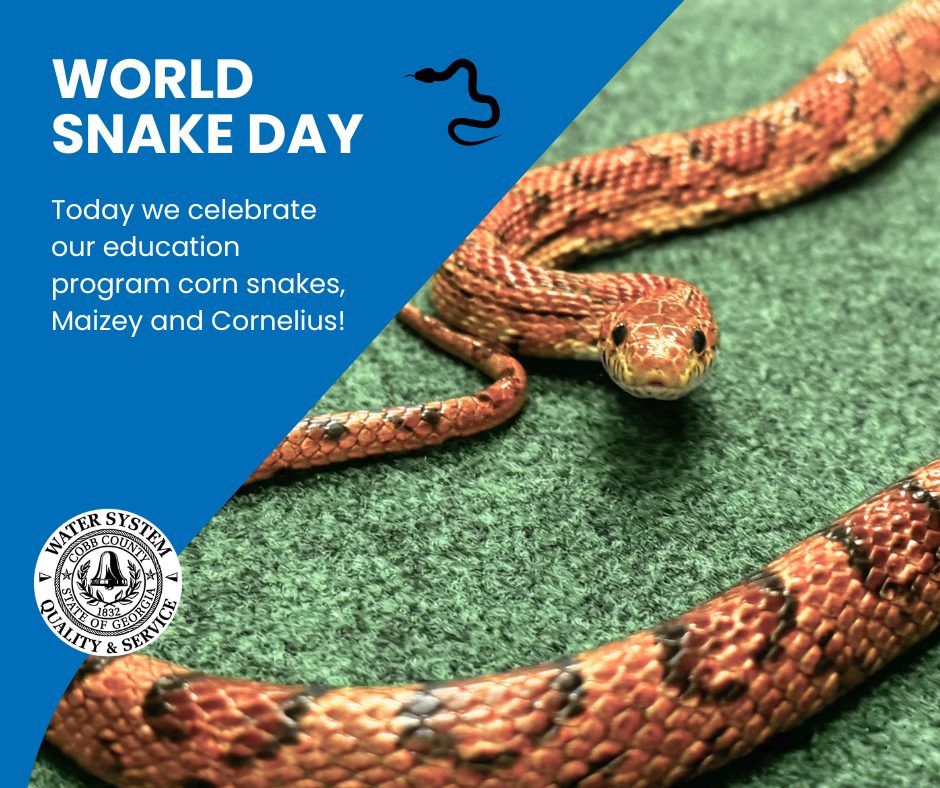 Cobb - Georgia is home to over 40 species of snakes! Snakes help ...