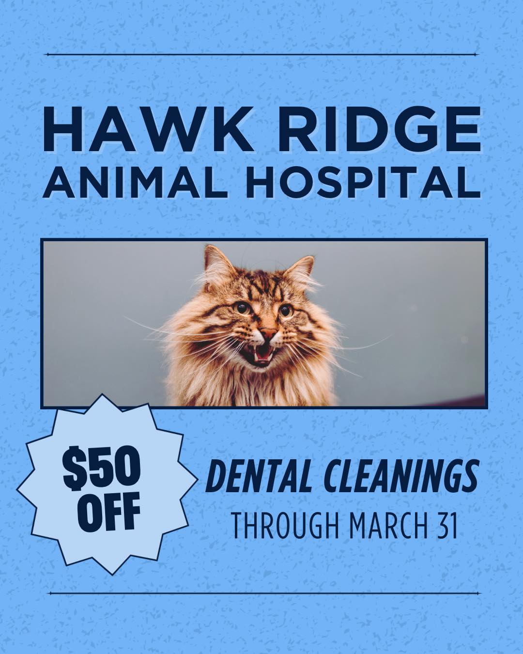 Hawk Ridge Animal Hospital | Lake Saint Louis MO