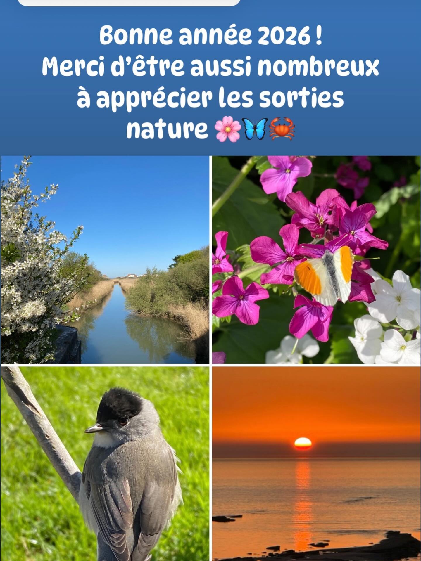 Guide Nature - Guide Nature added a new photo — at Cap...