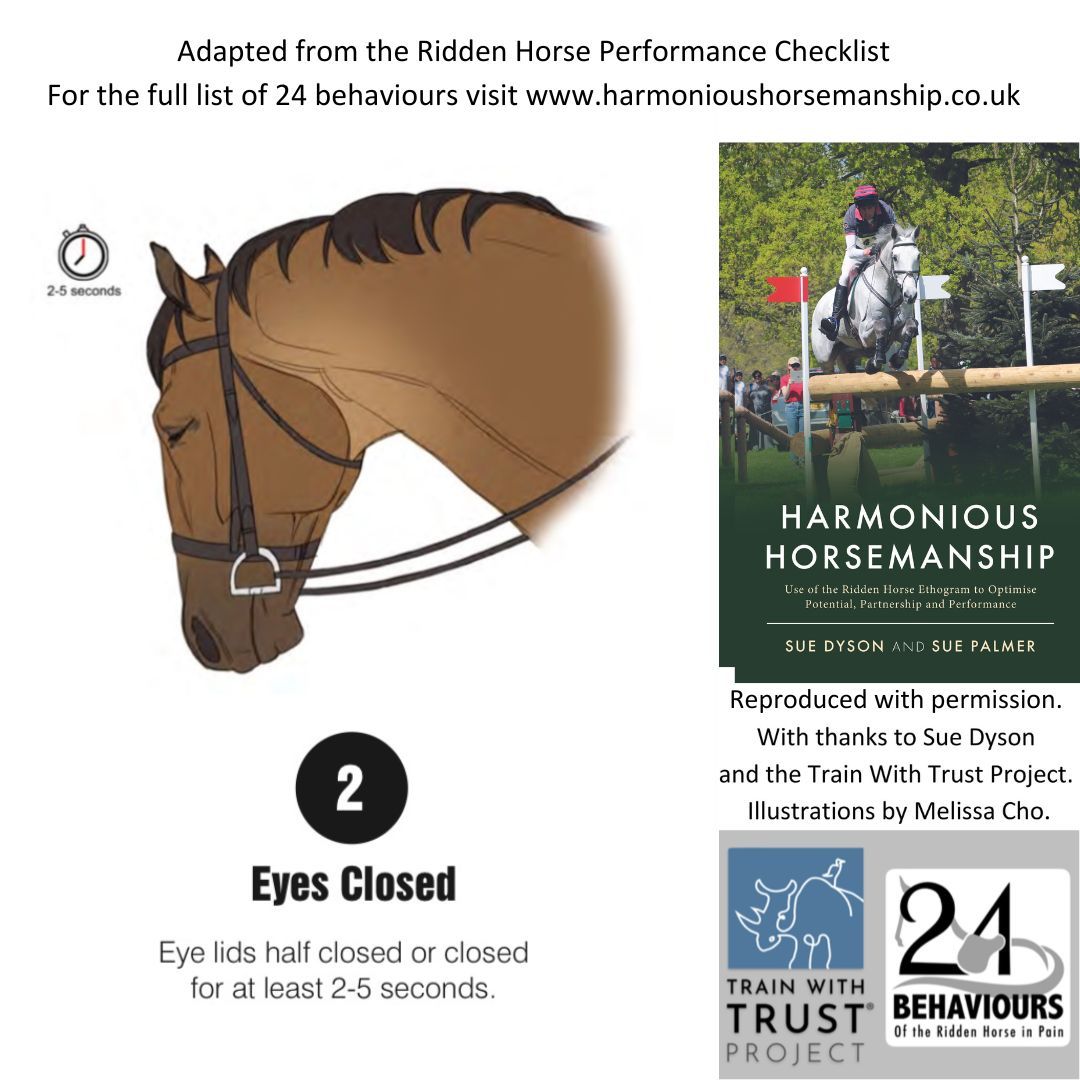 The Horse - The Ridden Horse Performance Checklist 2: Eyelids closed or ...