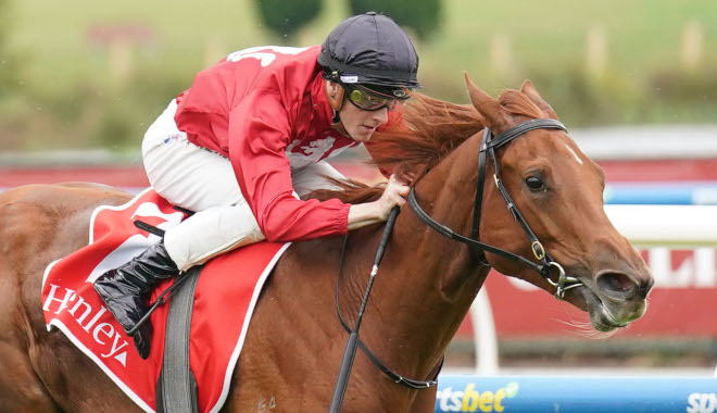 Jason Warren Racing | Mornington VIC