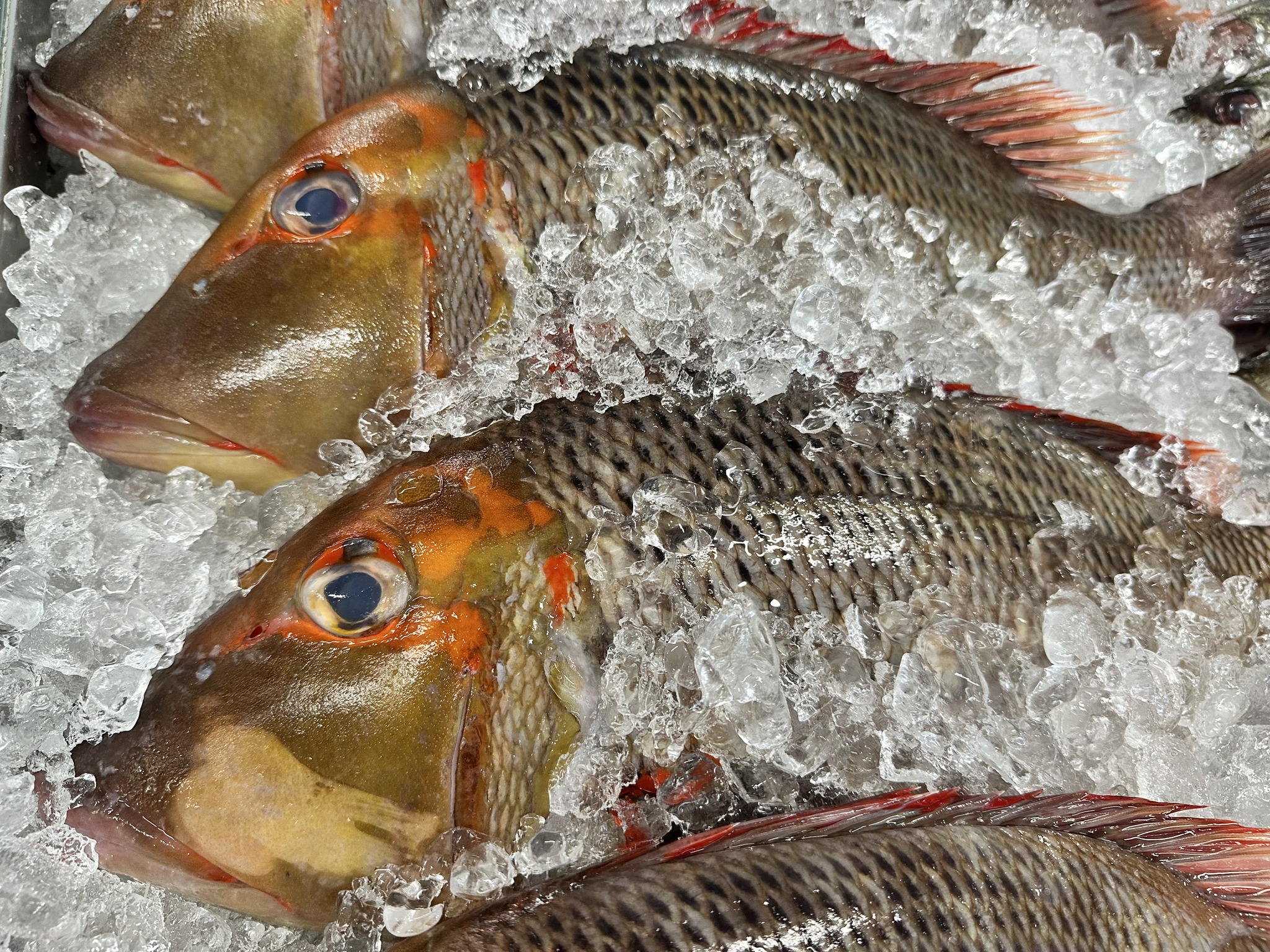 Debbie's Seafood & Deb's Fish Cafe
