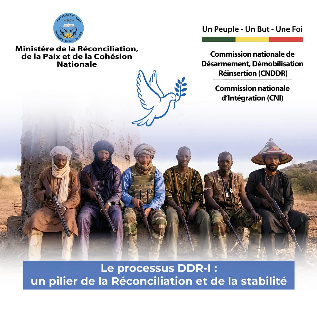 Forces - Le processus DDR-I : un pilier de la Réconciliation et de la ...