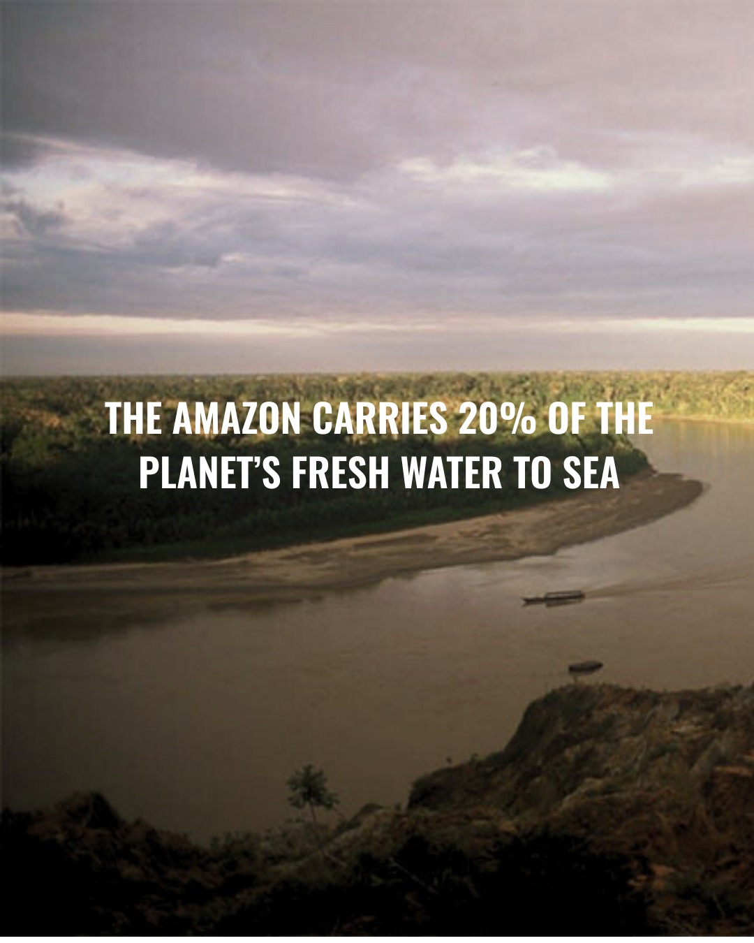 Amazon - The Amazon's river is the second longest in the world, and ...