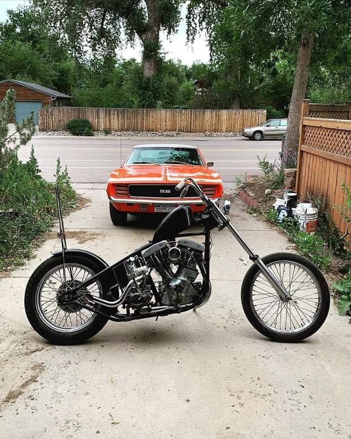 Daily Rider