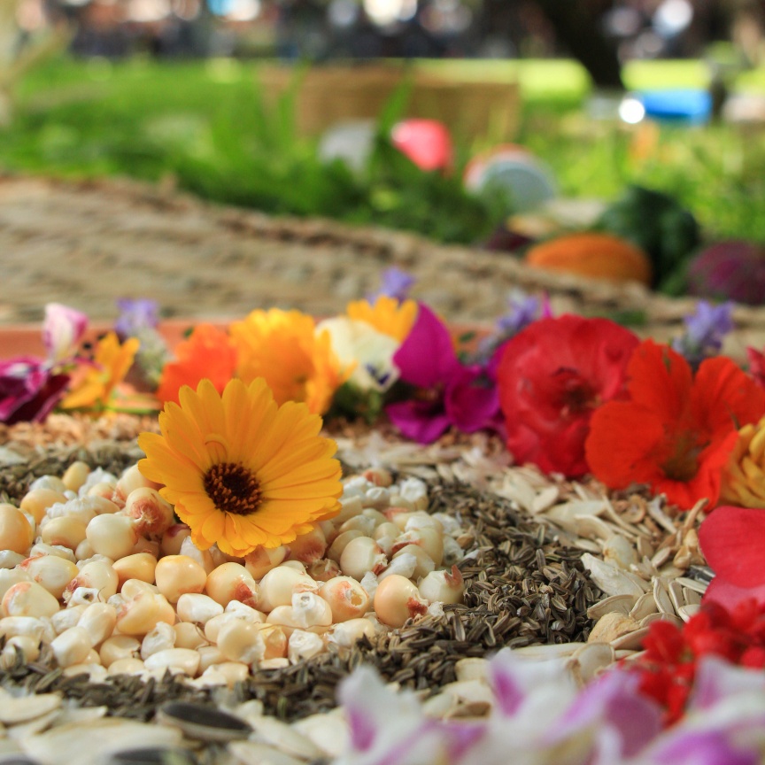 Huerto Rancho Luna | San Miguel de Allende