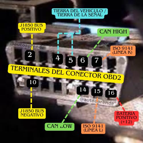Auto - Si alguna vez has escuchado sobre el conector OBD2, seguramente ...
