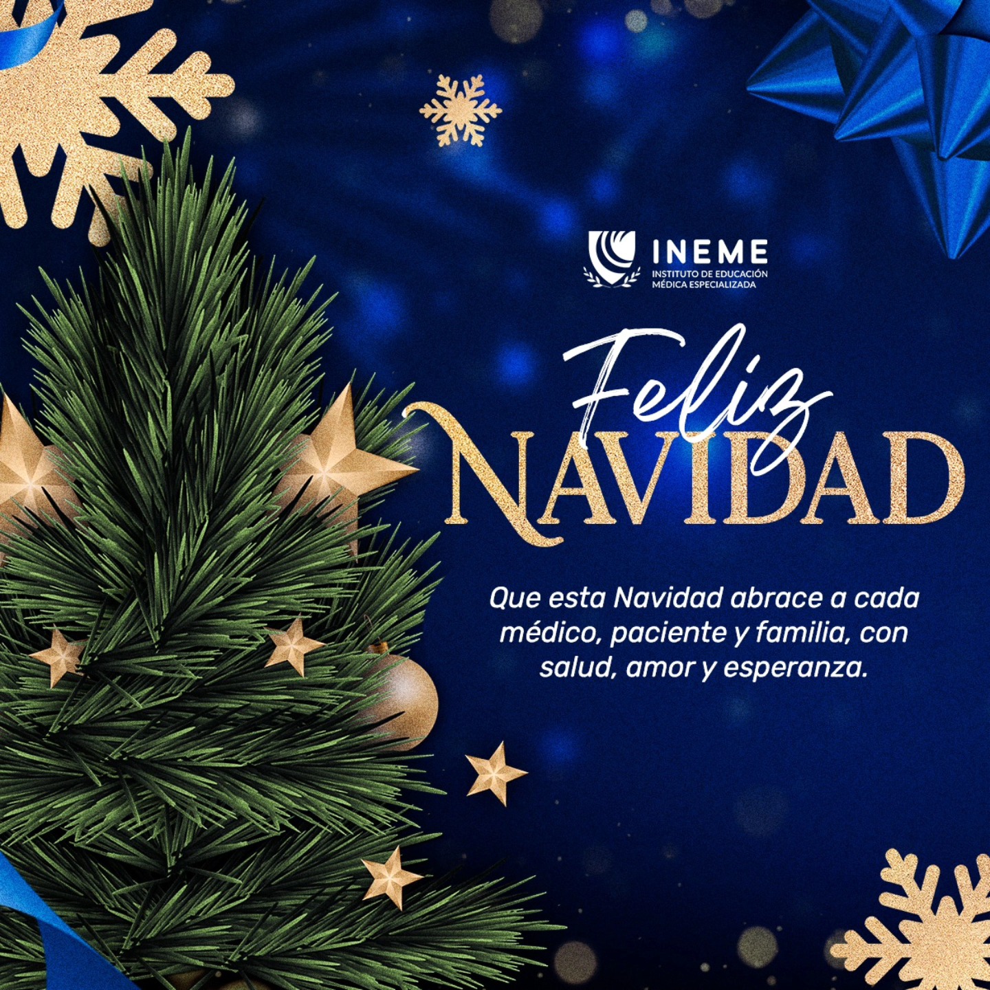 INEME | Mérida