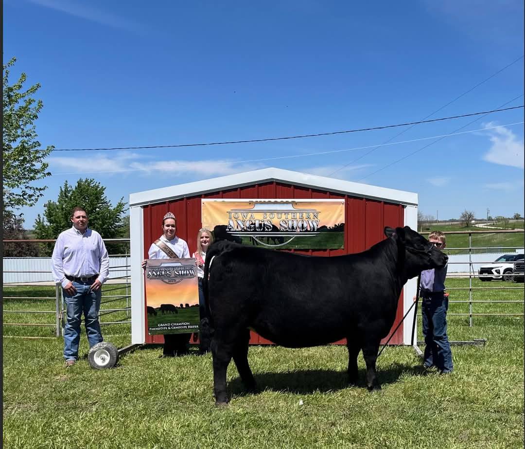 Double B Angus | Manson IA