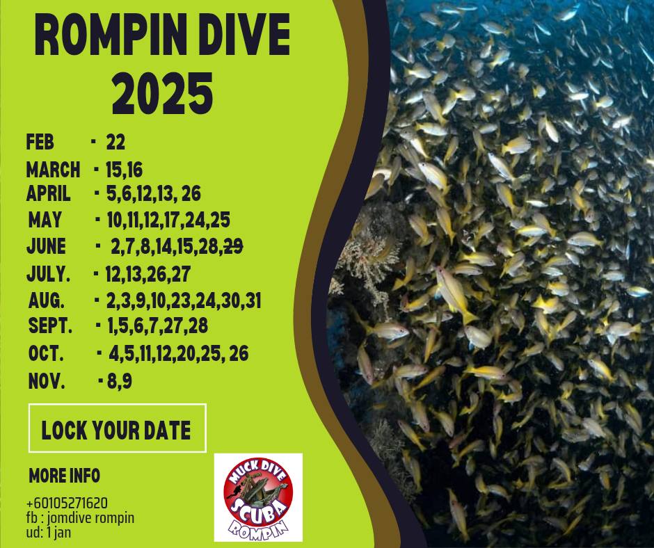 Muckdive Rompin | Rompin