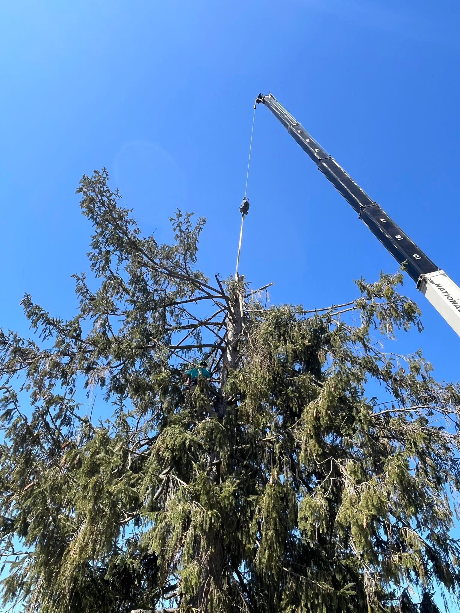 Cleaver Tree Service | Howard PA