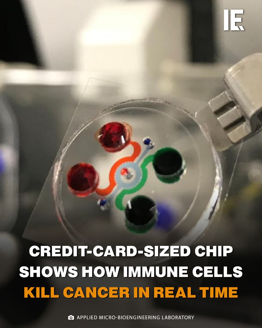Interesting - This tiny chip could help doctors pick the right cancer ...