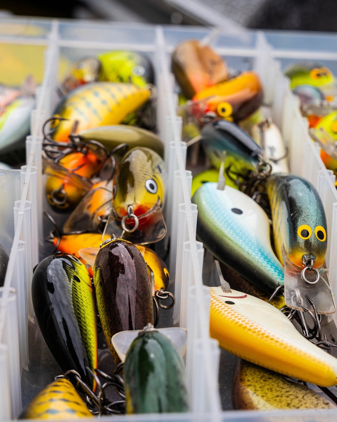 different fish lures 24-Piece Fishing Lure Kit Tackle Box Set - Premium Bass Variety Pack with Poppers, Minnows, Frogs & Soft Baits bkk offset worm MOST EXPENSIVE FISH UNLOCKED? Model:TTU80L (6.3:1) (Left Hand)