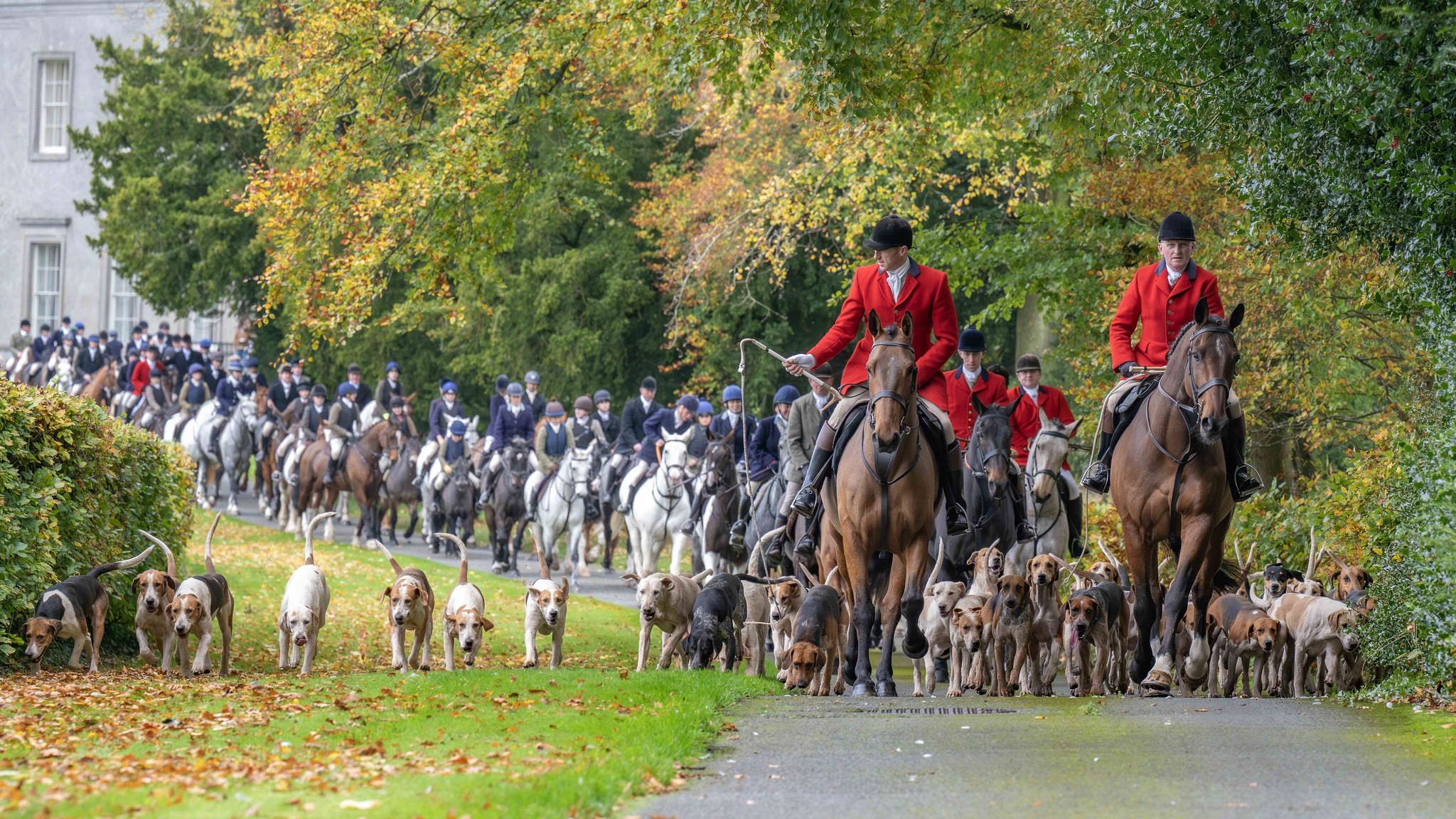 🇮🇪 It Doesn’t Get Much... - Countryside Alliance Hunting | Facebook