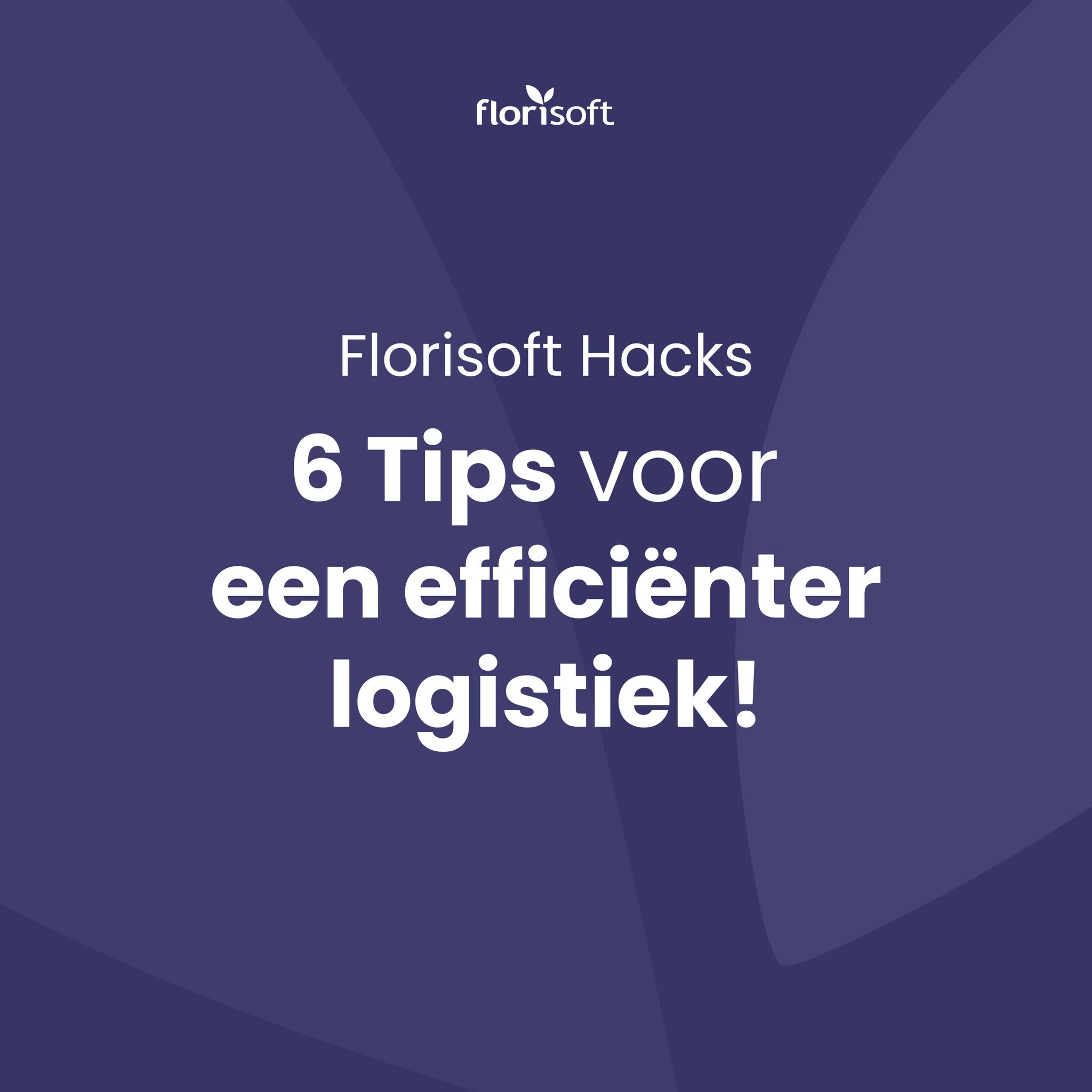 Florisoft | Rijnsburg