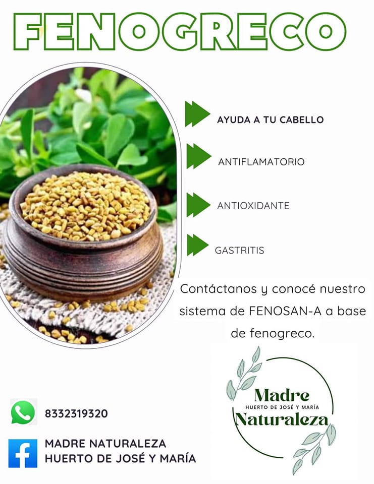 🌿 conocé nuestro... - Productos naturistas de la huasteca | Facebook
