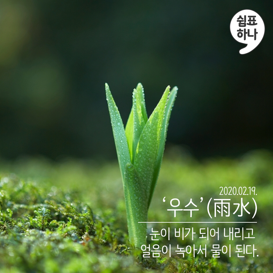 한국농업기술진흥원 - ★쉼표 하나★ 오늘은 24절기 중 하나인 우수(雨水)라는 절기입니다....