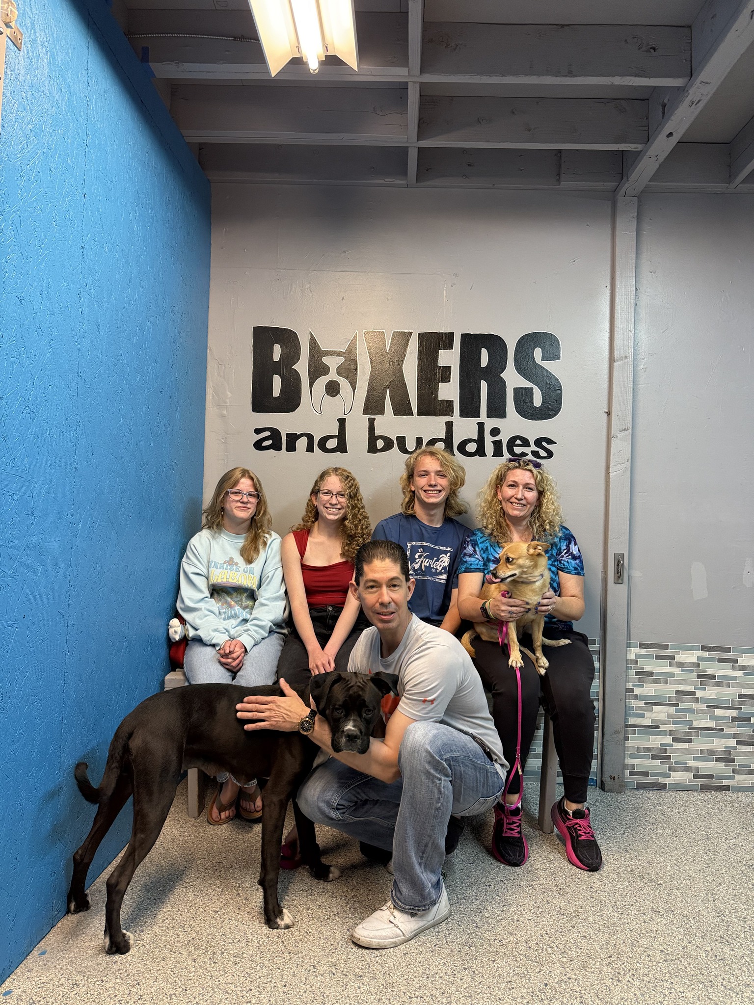 Boxers - Congratulations to Luciana who found her perfect family! This ...
