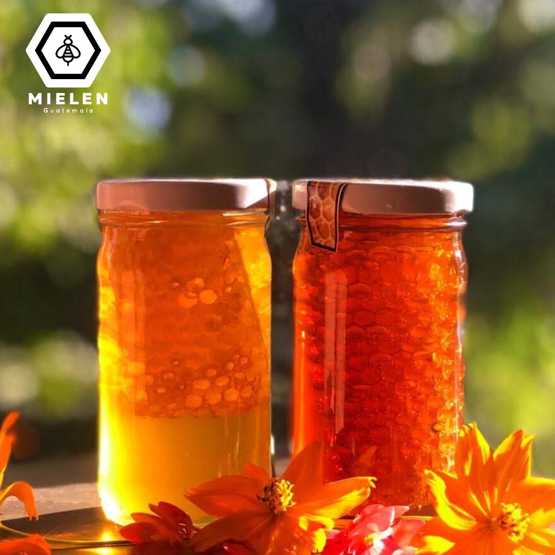 Miel en Guatemala - La miel de abeja es un alimento muy valorado por ...