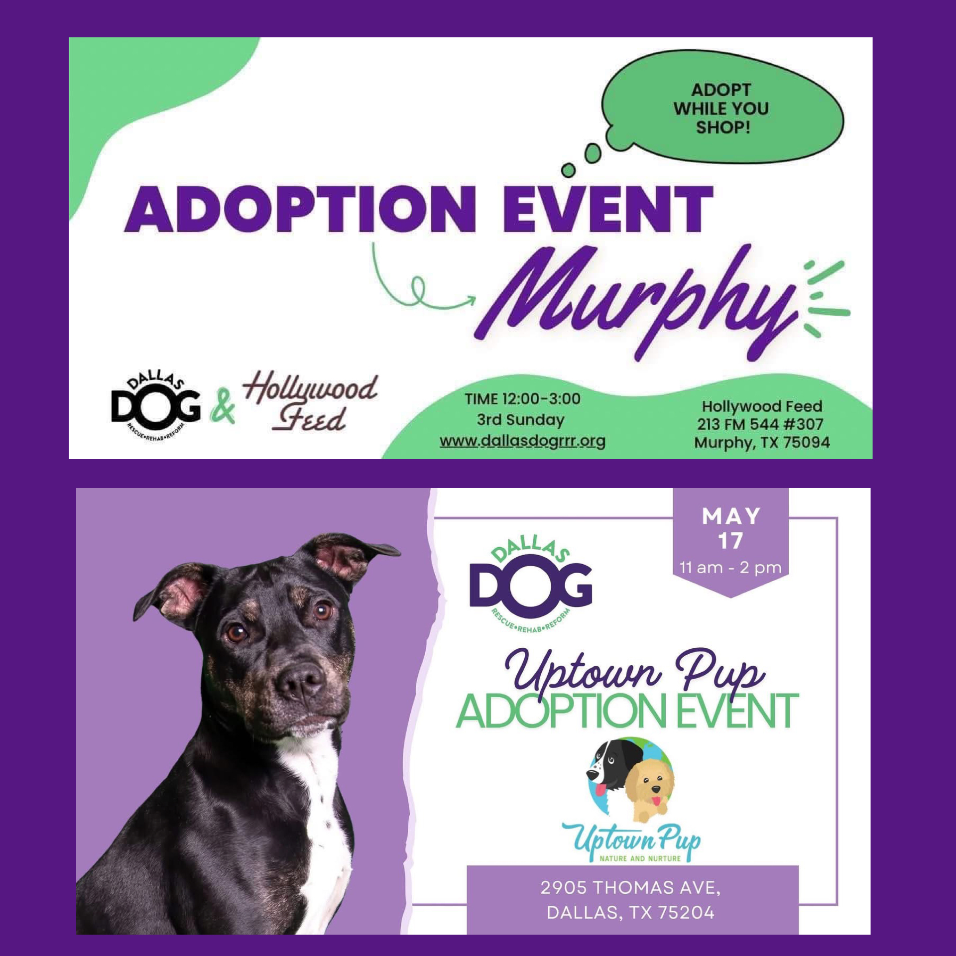Cody's Friends Rescue event in Dallas