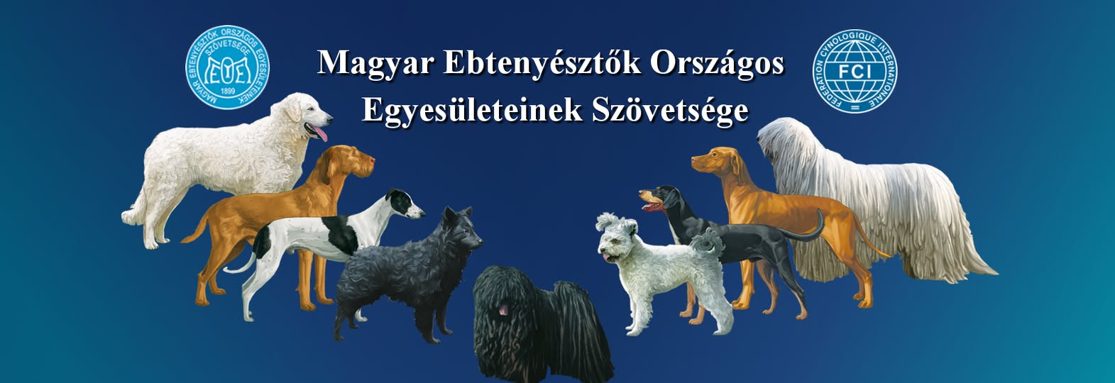 🇭🇺🐾 Nemzeti... - Hungarian Kennel Club - MEOE Szövetség | Facebook