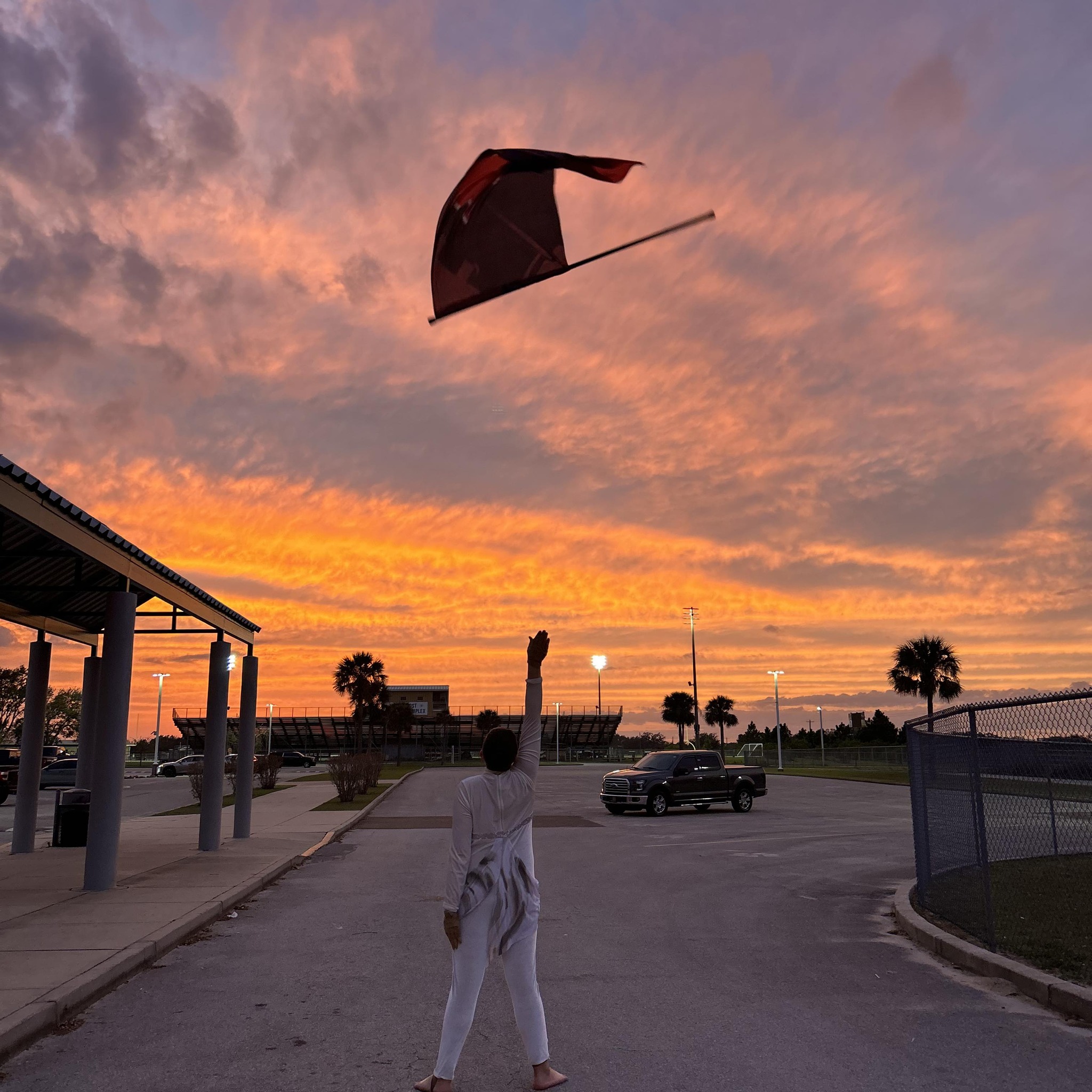 Spring Hill, Florida | It is unfortunate to say after all the searching ...