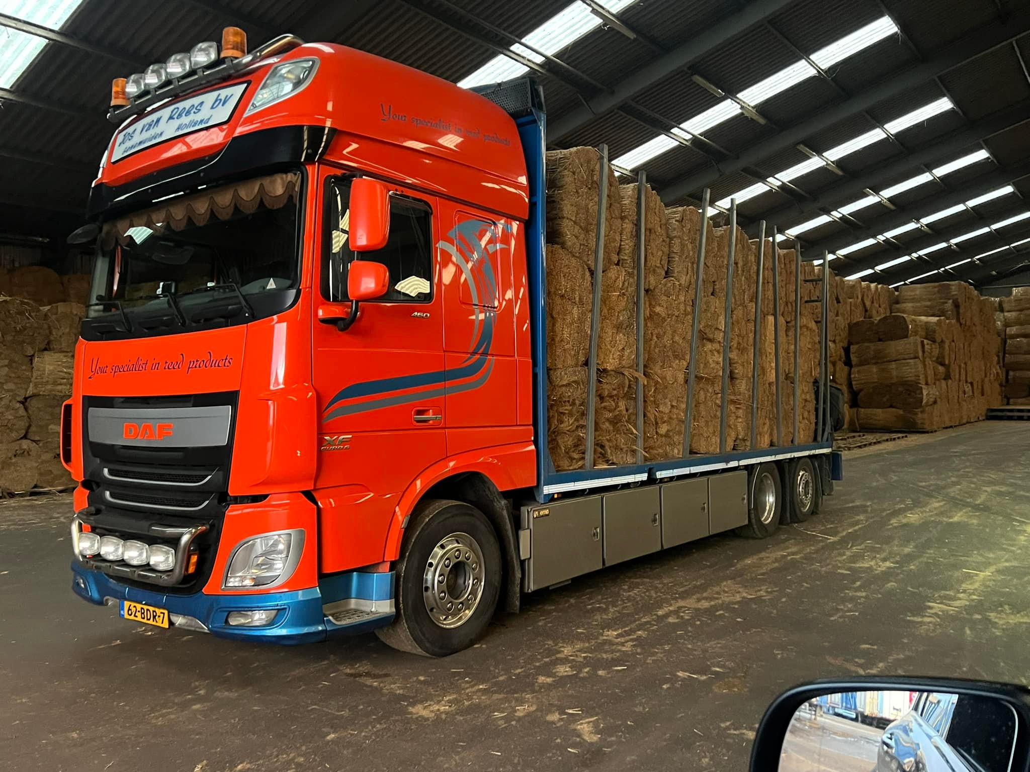 Riethandel Jos van Rees... - Riethandel Jos van Rees en Zn BV