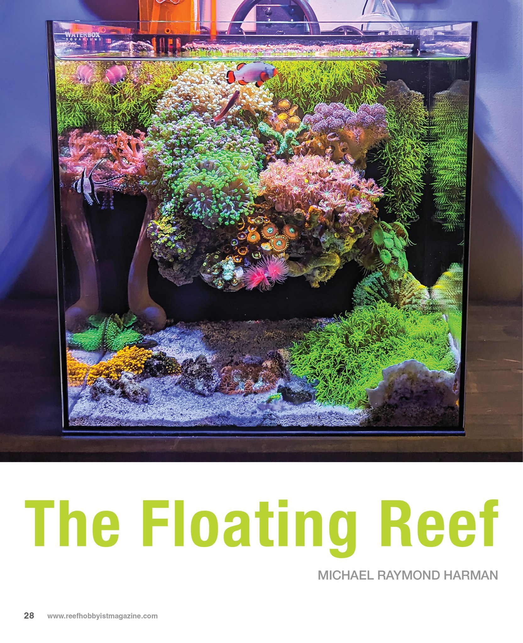 Reef Hobbyist Magazine