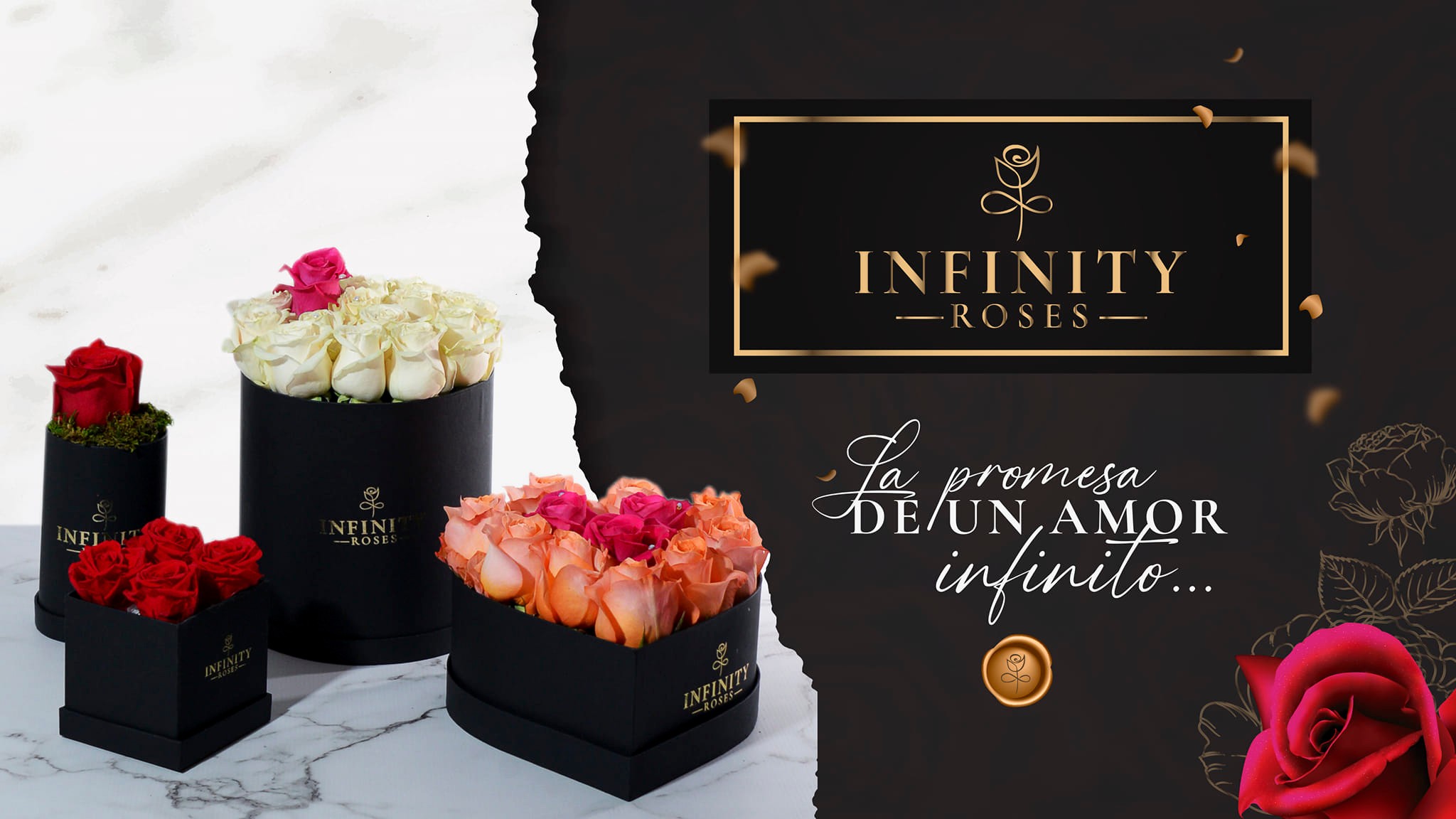 Infinity roses | Bogotá