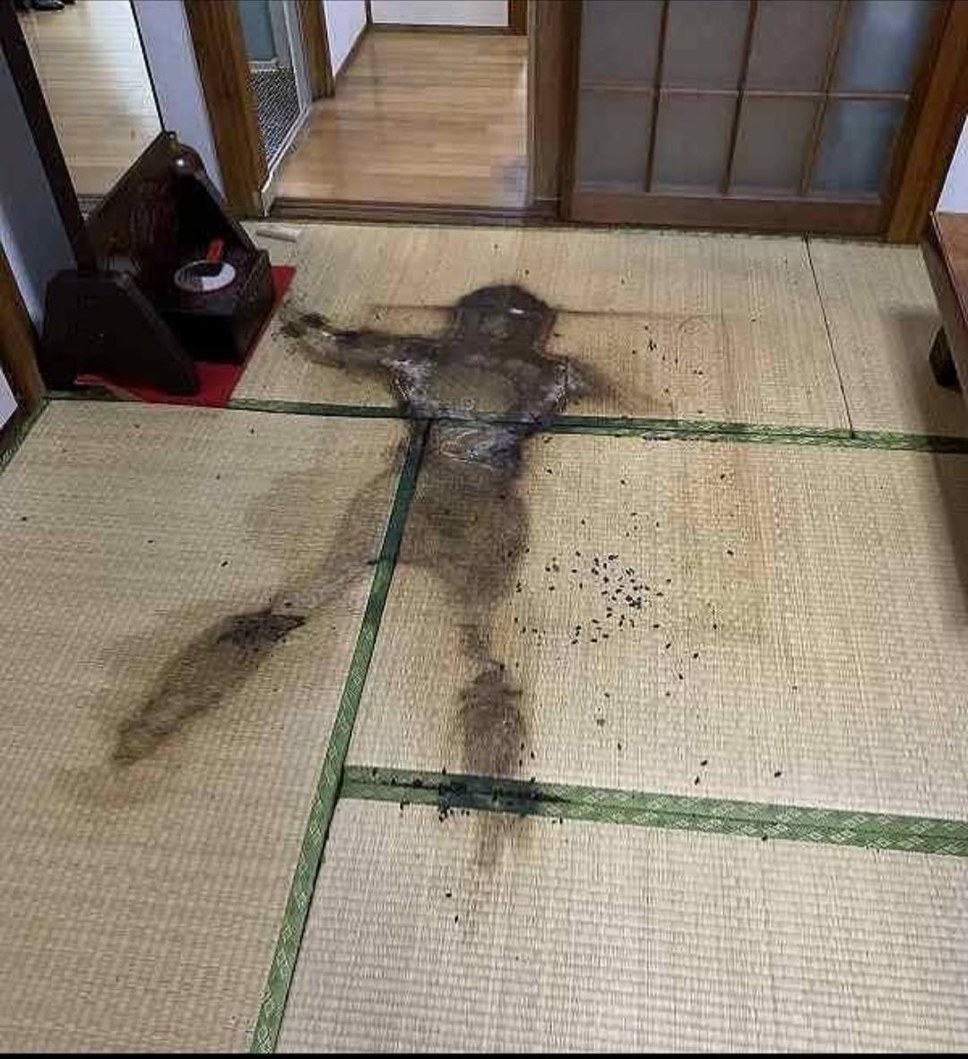 A body hidden in a Tokyo apartment raises terrifying questions