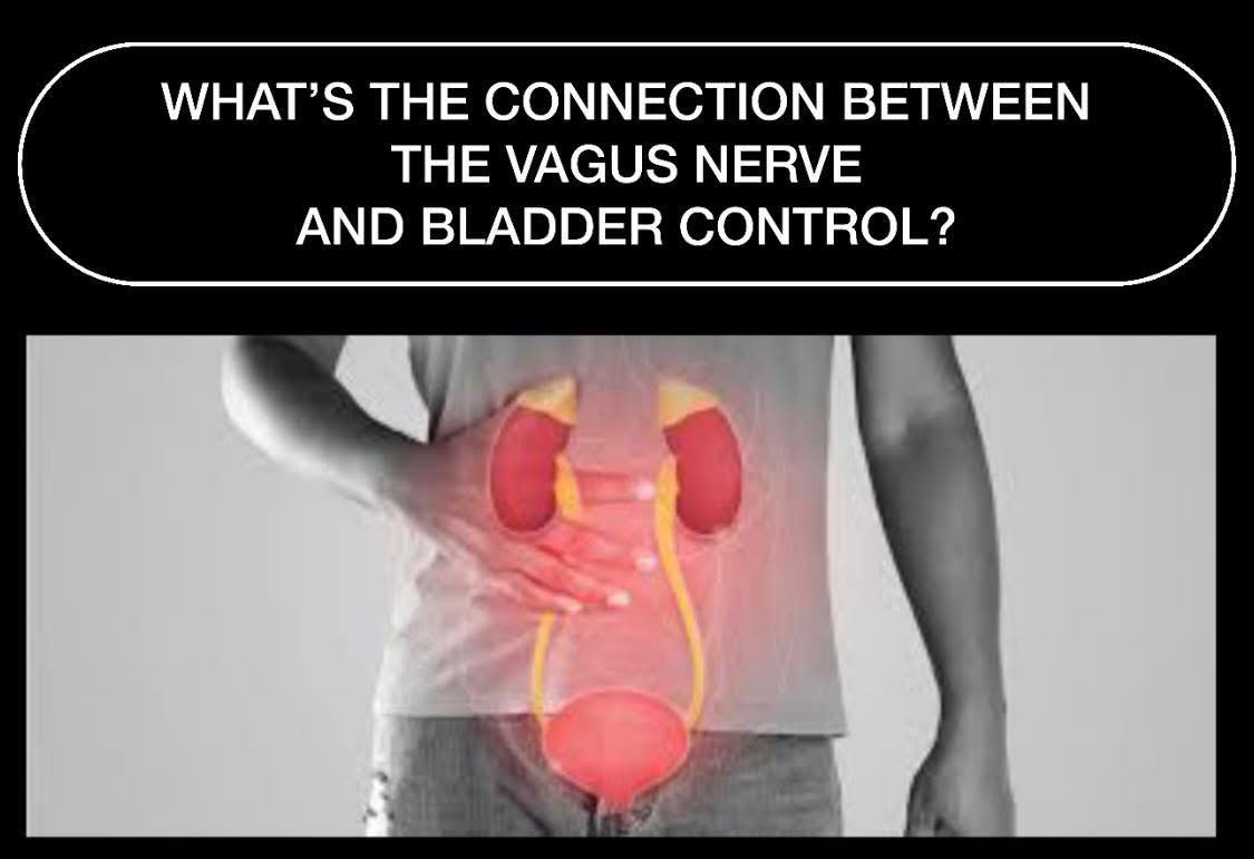 Total - 💦What’s the connection between the vagus nerve and bladder ...