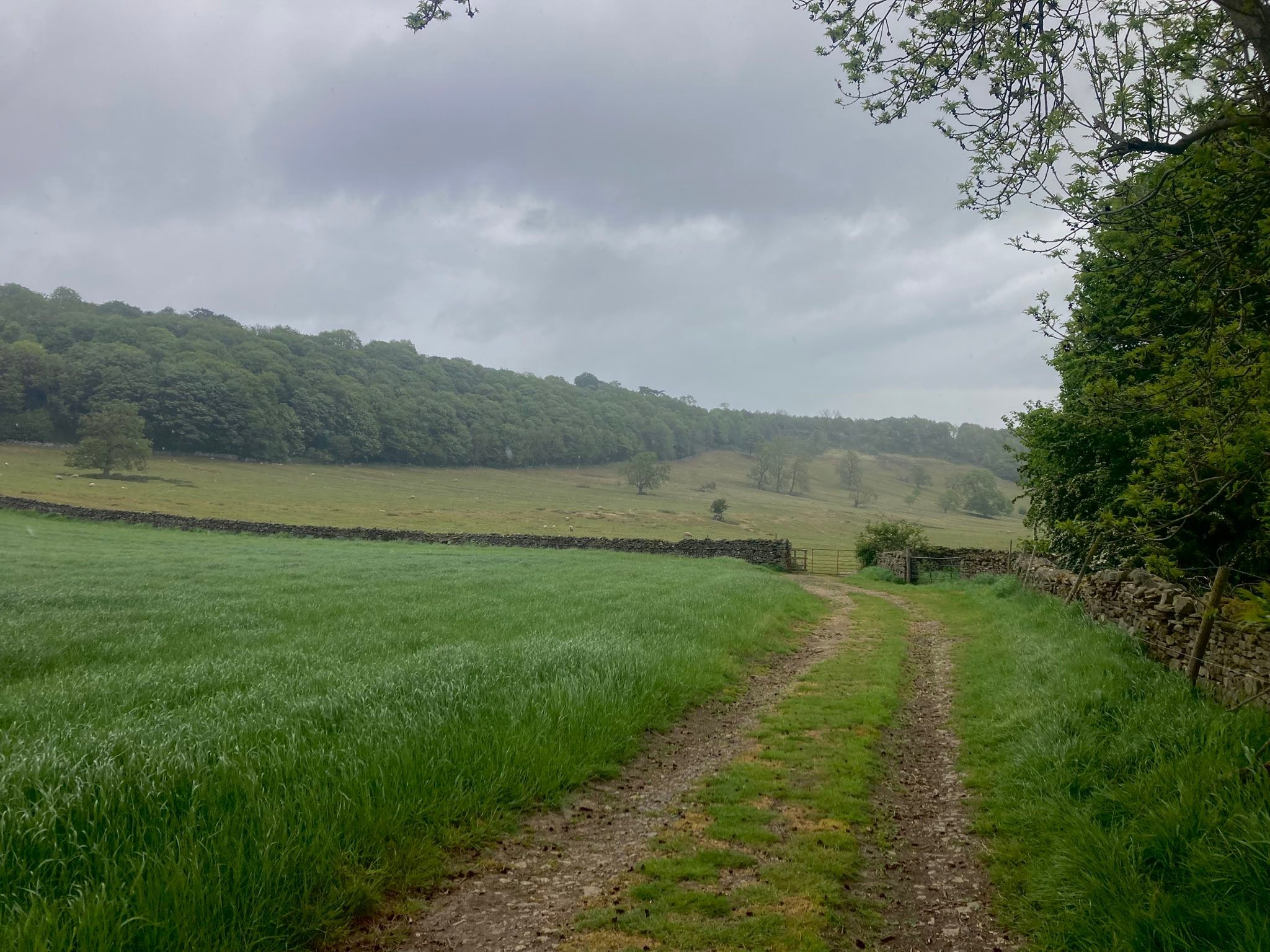 River Mountain Experience | Leeming Bar