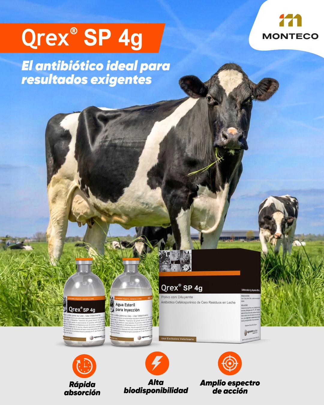 Monteco - 🐄💊 Qrex® SP 4G — Antibiótico de alto rendimiento para bovinos ...