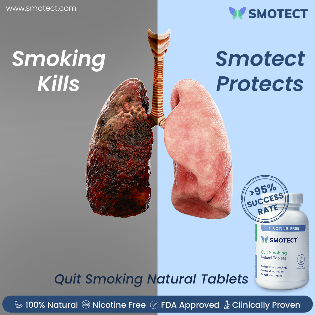 Smotect - The difference between a smoker's lung and a...