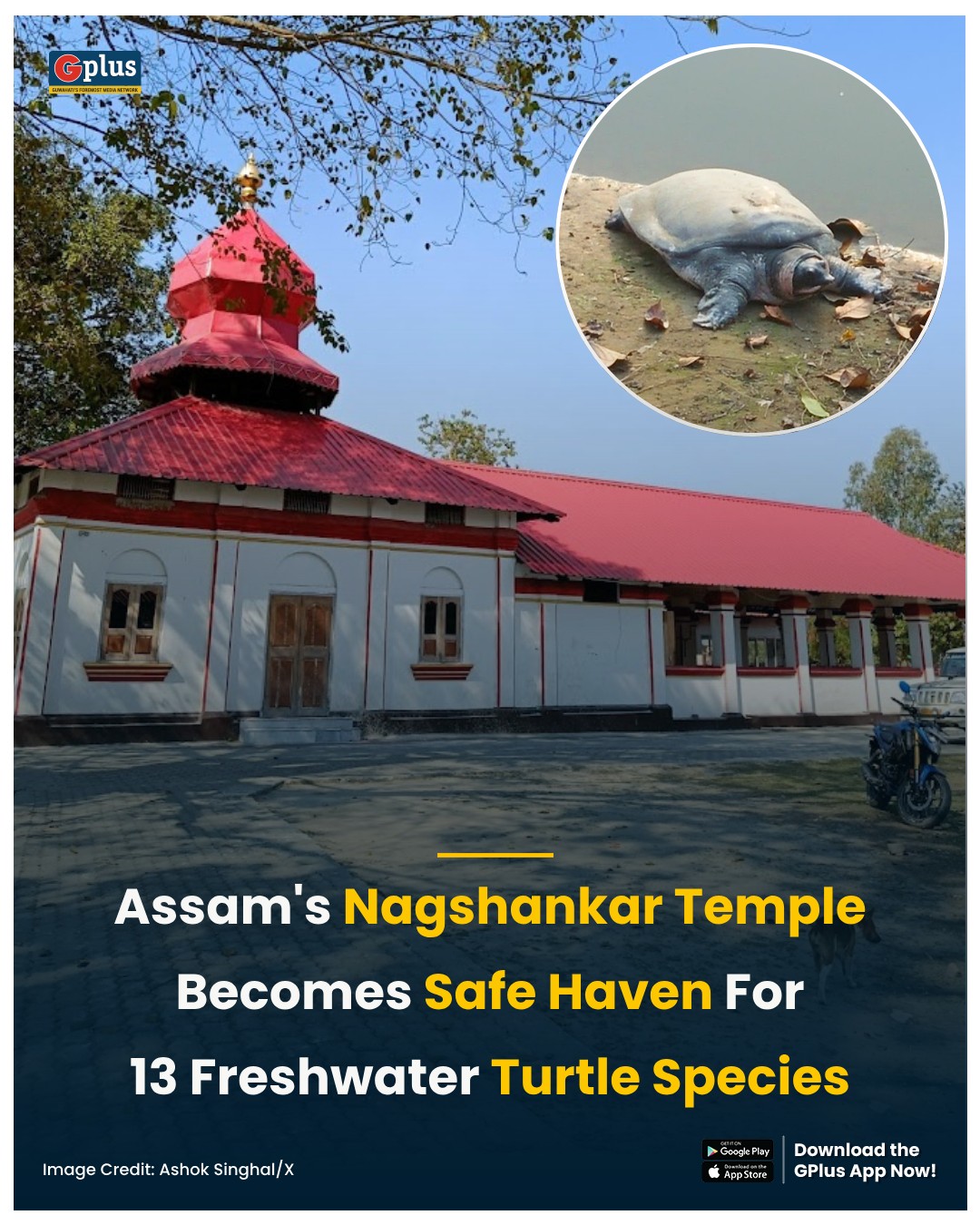 GPlus - NEWS | Nagshankar Temple in Assam’s Biswanath... | Facebook