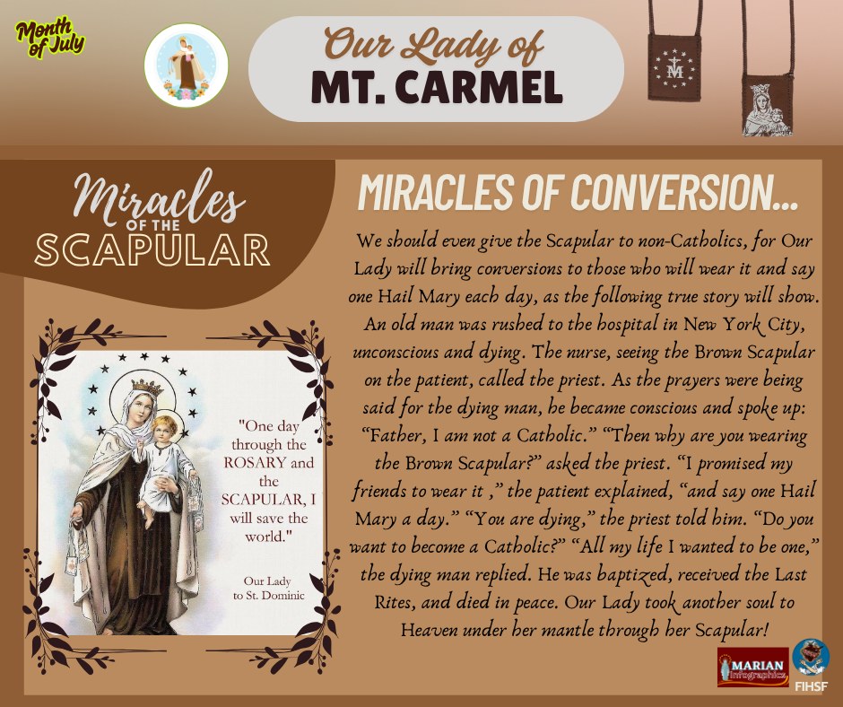Faithbook - 𝐌𝐢𝐫𝐚𝐜𝐥𝐞𝐬 𝐨𝐟 𝐭𝐡𝐞 𝐒𝐜𝐚𝐩𝐮𝐥𝐚𝐫 𝐌𝐢𝐫𝐚𝐜𝐥𝐞𝐬 𝐨𝐟 𝐂𝐨𝐧𝐯𝐞𝐫𝐬𝐢𝐨𝐧… 𝐖𝐞 𝐬𝐡𝐨𝐮𝐥𝐝 ...