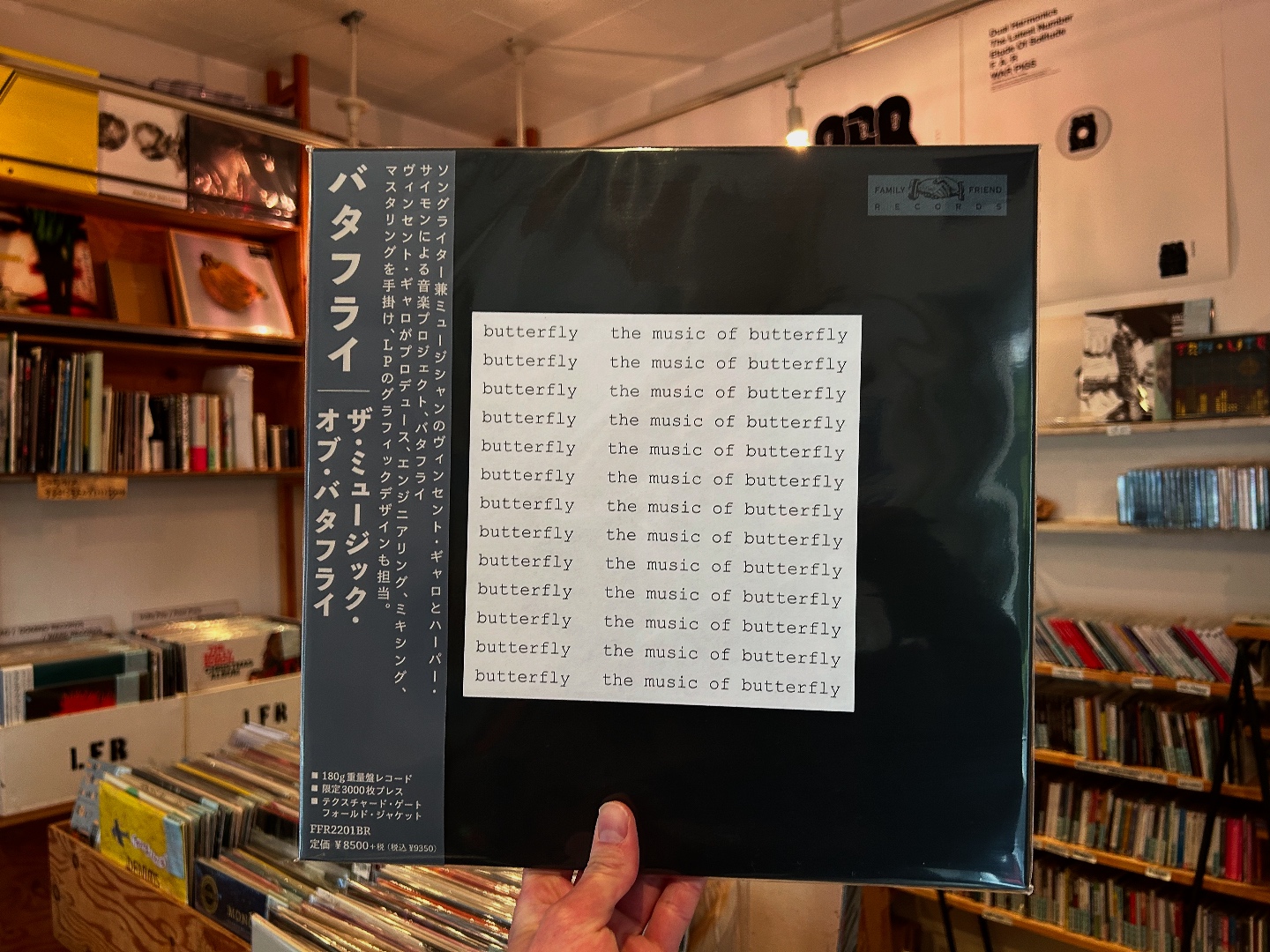 Like - [LP]Butterfly(Vincent Gallo & Harper Simon) - The Music of 
