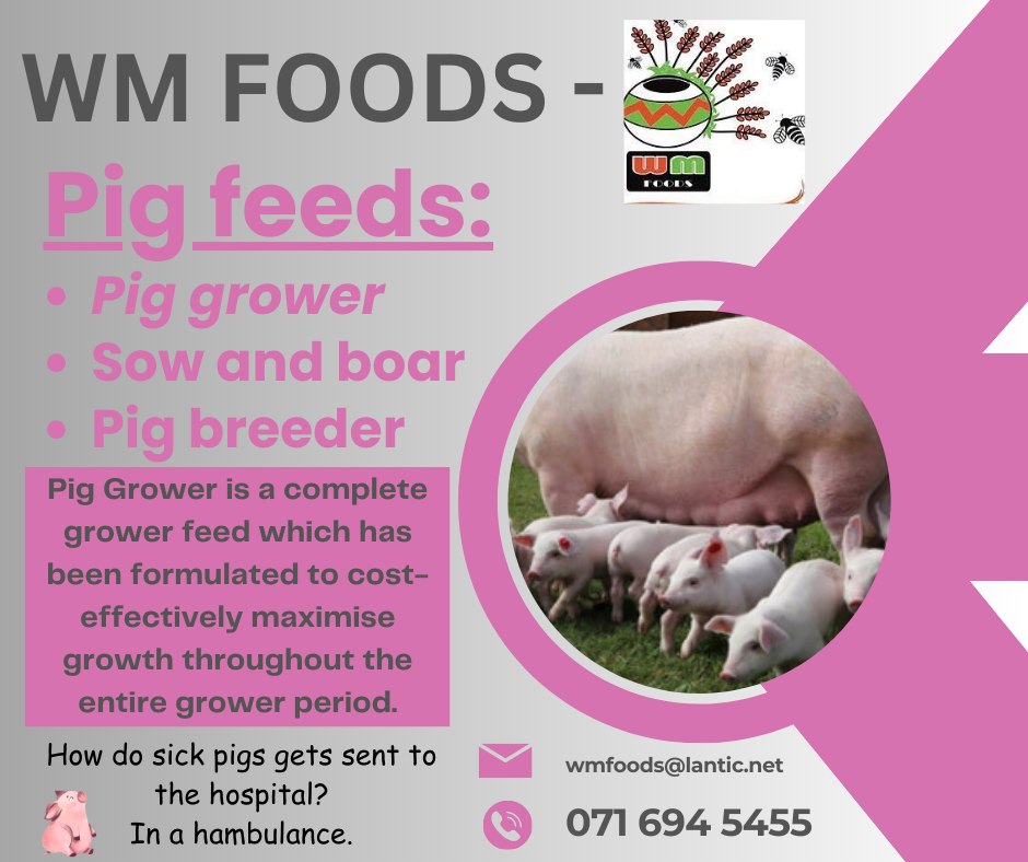 W.M - Our range includes: Malt Mabela Our house brand maize meal ...