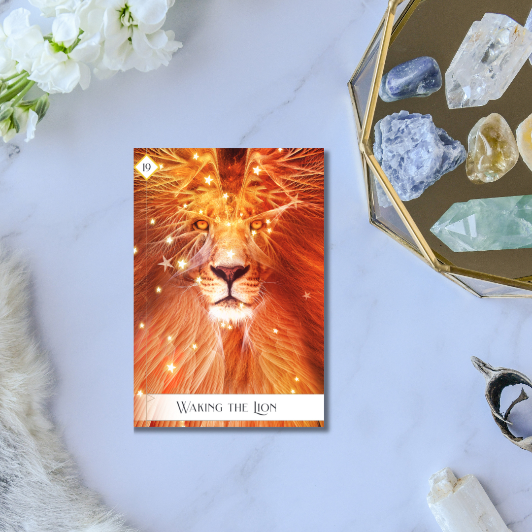 Colette - Card of the Day ⁠ 🎴 Card: Waking the Lion 🔮 Oracle Deck ...