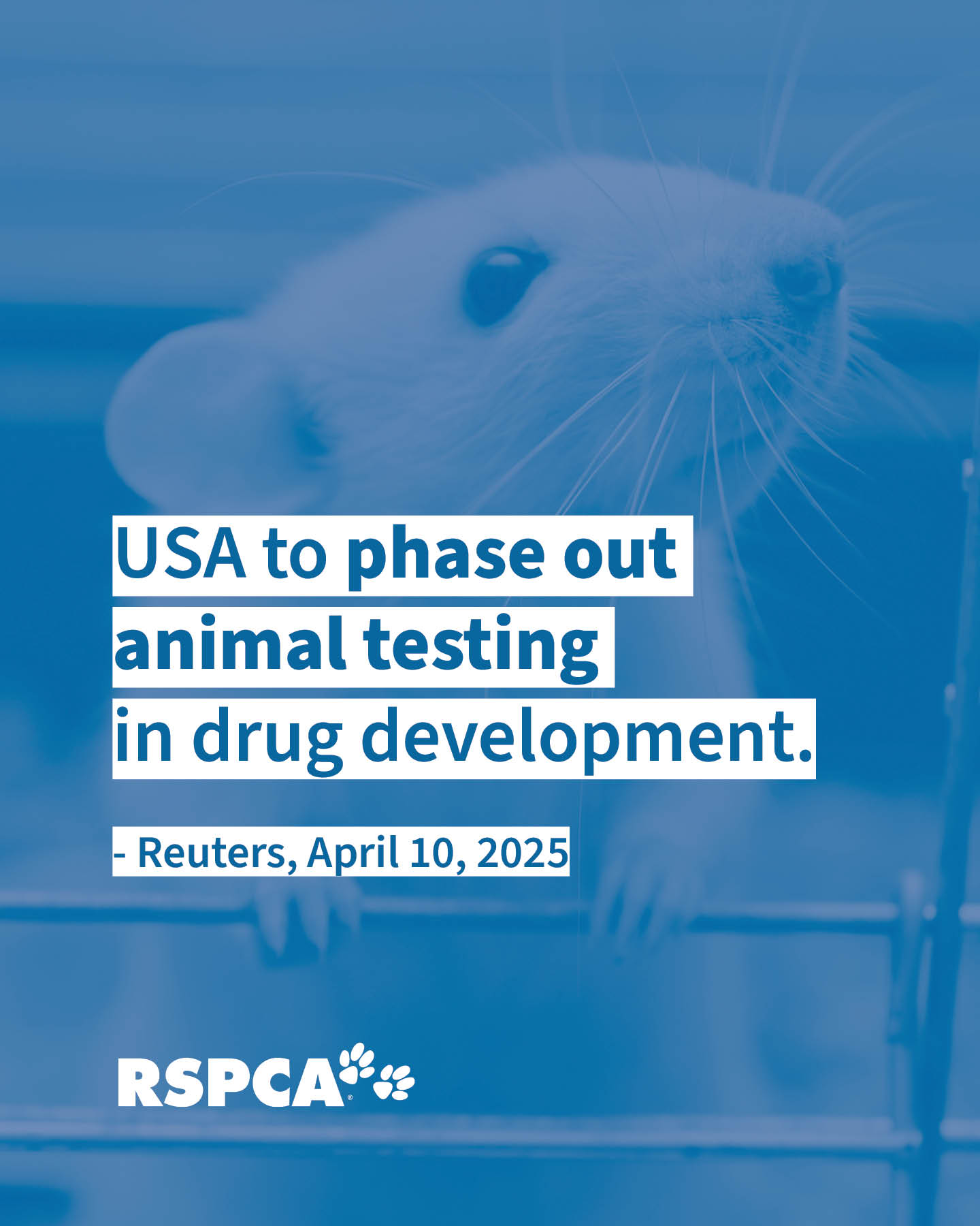 RSPCA - Promising progress globally, towards reducing animal testing in ...