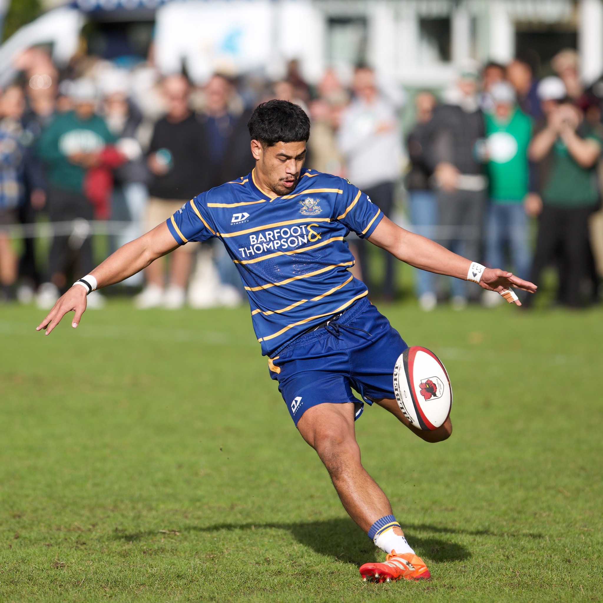 Harbour Grassroots Rugby... - Harbour Grassroots Rugby Photos