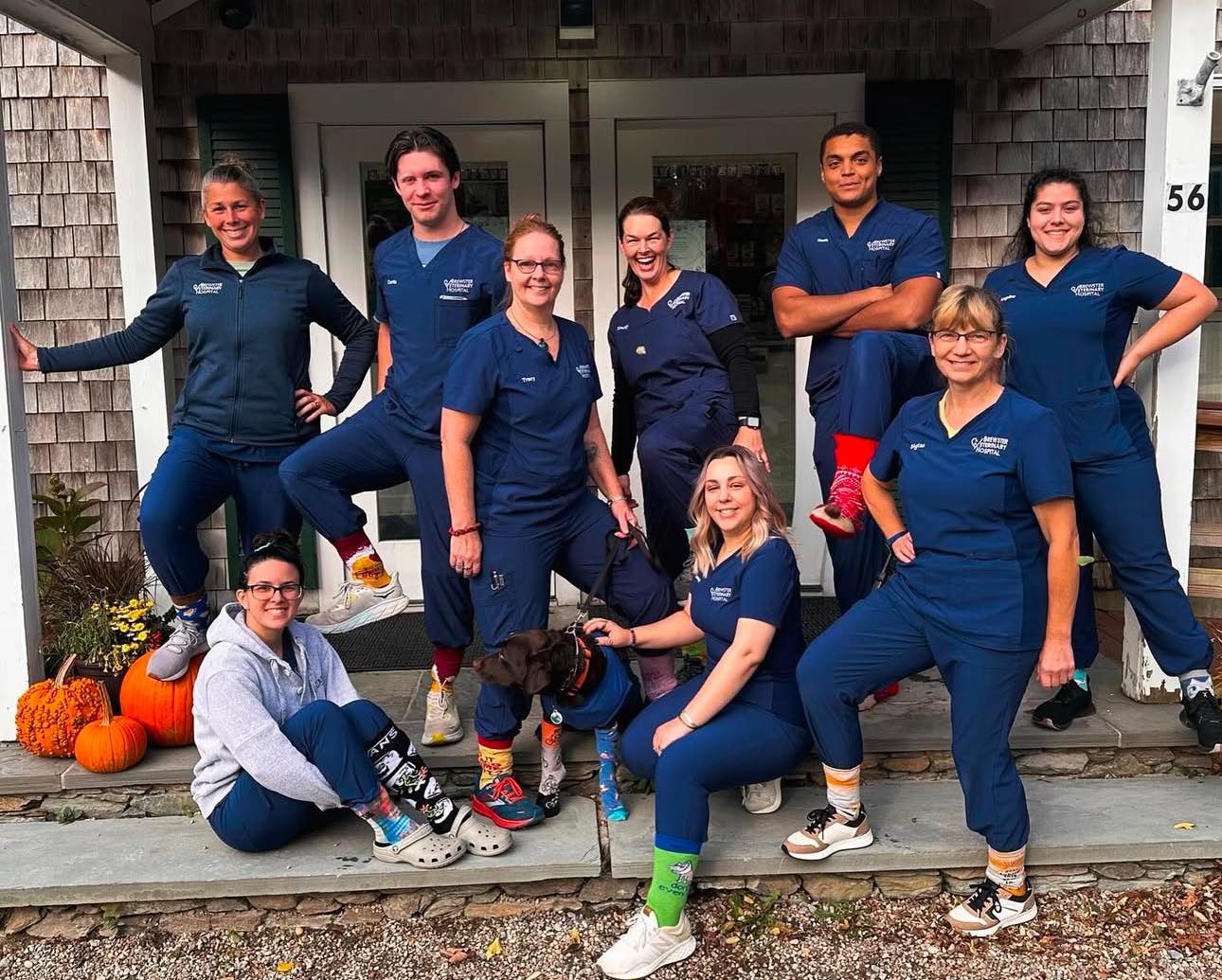 Animal Hospital of Orleans - We just want to take a moment to thank the ...